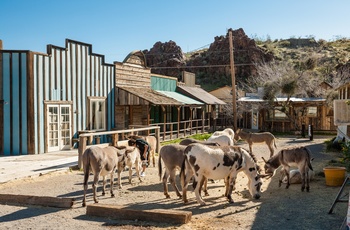 Oatman Ghost Town (spøgelsesby) i Arizona, USA