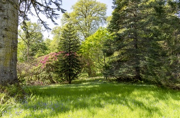 Armadale Castle & Gardens