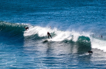 Surfing - Torquay i Australien