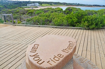 Sten med opfordring til surfere ved stranden i Torquay i Victoria - Australien