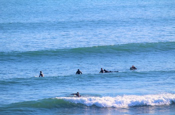 Surfing fra Phillip Island, Victoria i Australien
