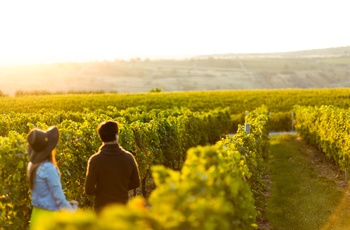 Ungt par i vinmark ved solnedgang, Australien