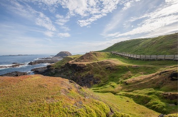 Phillip Island i Australien 