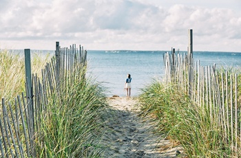 AutoCamp Cape Cod