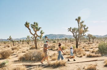 AutoCamp Joshua Tree