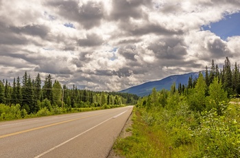 Highway 16 på vej mod Prince George fra Jasper - British Columbia