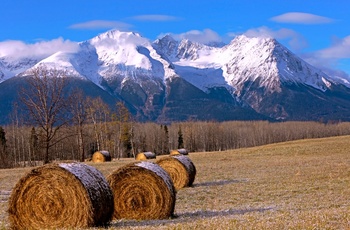 Efterårsfarver med Hudson Bay Mountain snedækkede toppe - British Columbia