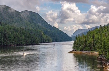 Smuk natur langs fjordene på sejlruten Inside Passage i British Columbia