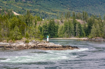 Skookumchuck Narrows Provincial Park - British Columbia