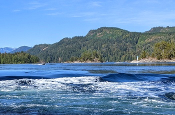 Skookumchuck Narrows Provincial Park - British Columbia