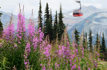 Kabelbanen Peak to Peak Gondola mellem Whistler og Blackcomb Mountain - British Columbia