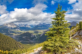 Panoramaudsigt til Banff og Bow Valley - Alberta - Canada