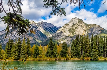 Udsigt til Bow River på Marsh Loop nær Banff i Alberta, Canada