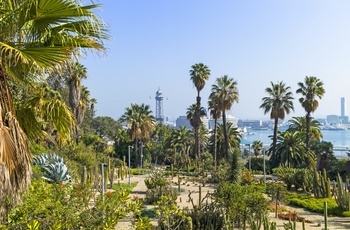 Den botaniske have Jardins Joan Brossa i Montjuic, Barcelona