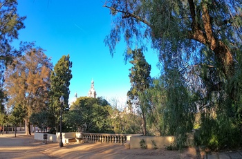 Den botaniske have Jardins de Joan Maragall i Montjuic, Barcelona