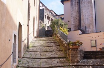 Brostensbelagt lille gade i Barga - Toscana