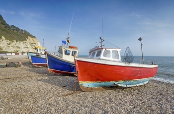 Farverige fiskerbåde på stranden i byen Beer - Devon - Sydengland
