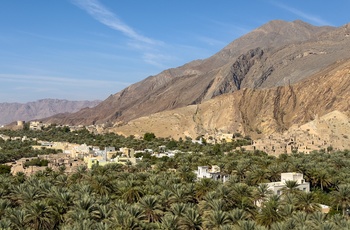 Palmer og Birkat Al Mouz - ruinby i Oman