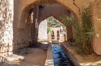Falaj vandingsystemet gennem Birkat Al Mouz - ruinby i Oman