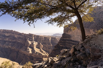 Jabal Akhdar-bjergene, Oman