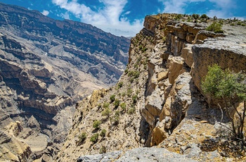 Jabal Akhdar-bjergene i Oman