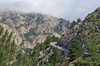 Bjergvej mod Col de Bavella-passet på Korsika - Frankrig