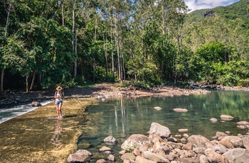 På vandring i Black River Gorges National Park med den sidste oprindelige regnskov i Mauritius