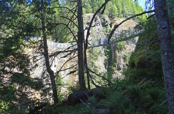 Udsigt til hængebroen i Elk Falls Provincial Park, Britiah Columbia i Canada