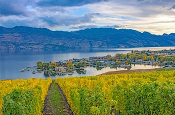 Vinmarker ved Kelowna og Okanagan søen i British Columbia, Canada