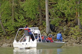 Wilderness Eco River Safari i British Columbia, Canada