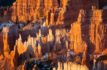 Bryce Canyon - ImagesCredit: Travis Burke