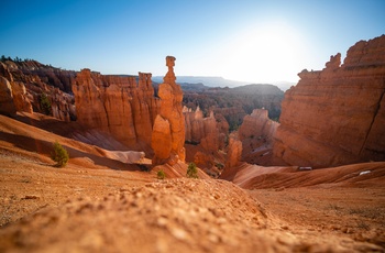 Bryce Canyon - ImagesCredit: Travis Burke