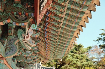 Bulguksa Daeungjeon templet i Gyeongju, Sydkorea - Foto: Austin Curtis, Unsplash