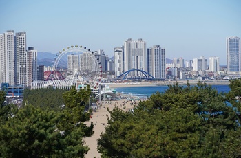 Byen Sokcho i Sydkorea - Foto Ira Kang Unsplash