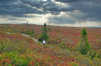 På vandring i Kejimkujik National Park i Nova Scotia