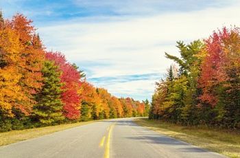 Vej mod Kejimkujik National Park i Nova Scotia - Canada