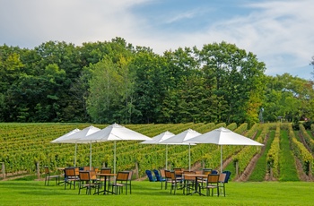 Dækket op til vinsmagning på vingård i Ontario - Canada