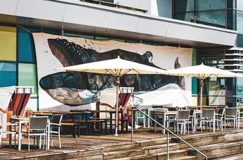 Udendørs cafe i købstaden Eckernförde i Slesvig-Holsten - Foto: Theodor Tietze, Unsplash
