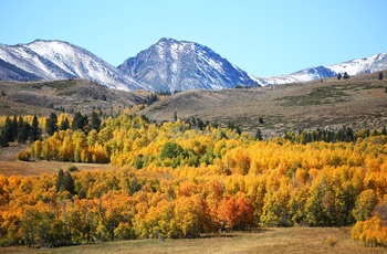 Oplev de flotte farver om efteråret i Mammoth Lakes, Californien