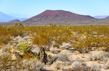 Mojave National Preserve, Californien
