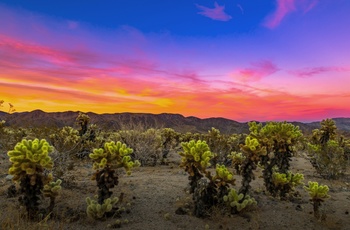Solnedgang i Mojave National Preserve, Californien