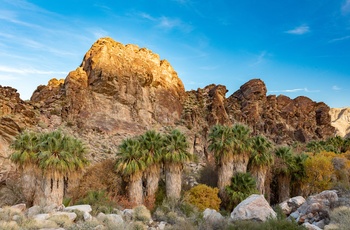 Vild natur tæt på Palm Springs i Californien