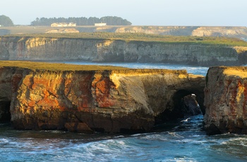 Området nær Point Arena Lighthouse, Californien