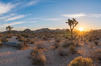 Joshua Tree National Park, Californien i USA