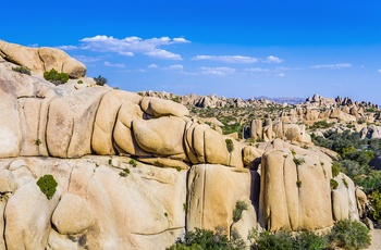 Joshua Tree National Park, Californien i USA