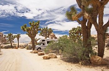 Campingplads i Joshua Tree National Park, Californien i USA