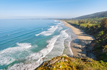 Stillehavskysten ved Redwood National and State Parks i Californien, USA