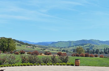 Santa Ynes Valley på en solskinsdag, Californien