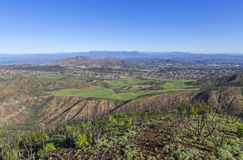 Sonoma vinområdet tæt på Santa Rosa i Californien - USA
