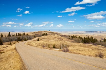 Vej gennem Cypress Hills Interprovincial Park - Canada